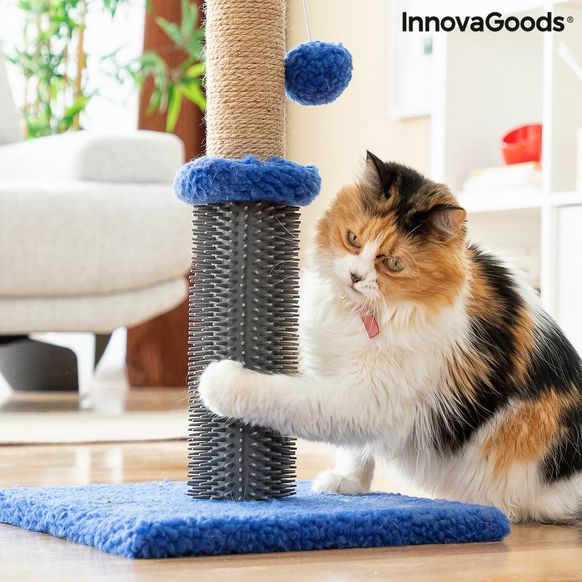 Cat Scratching and Massage