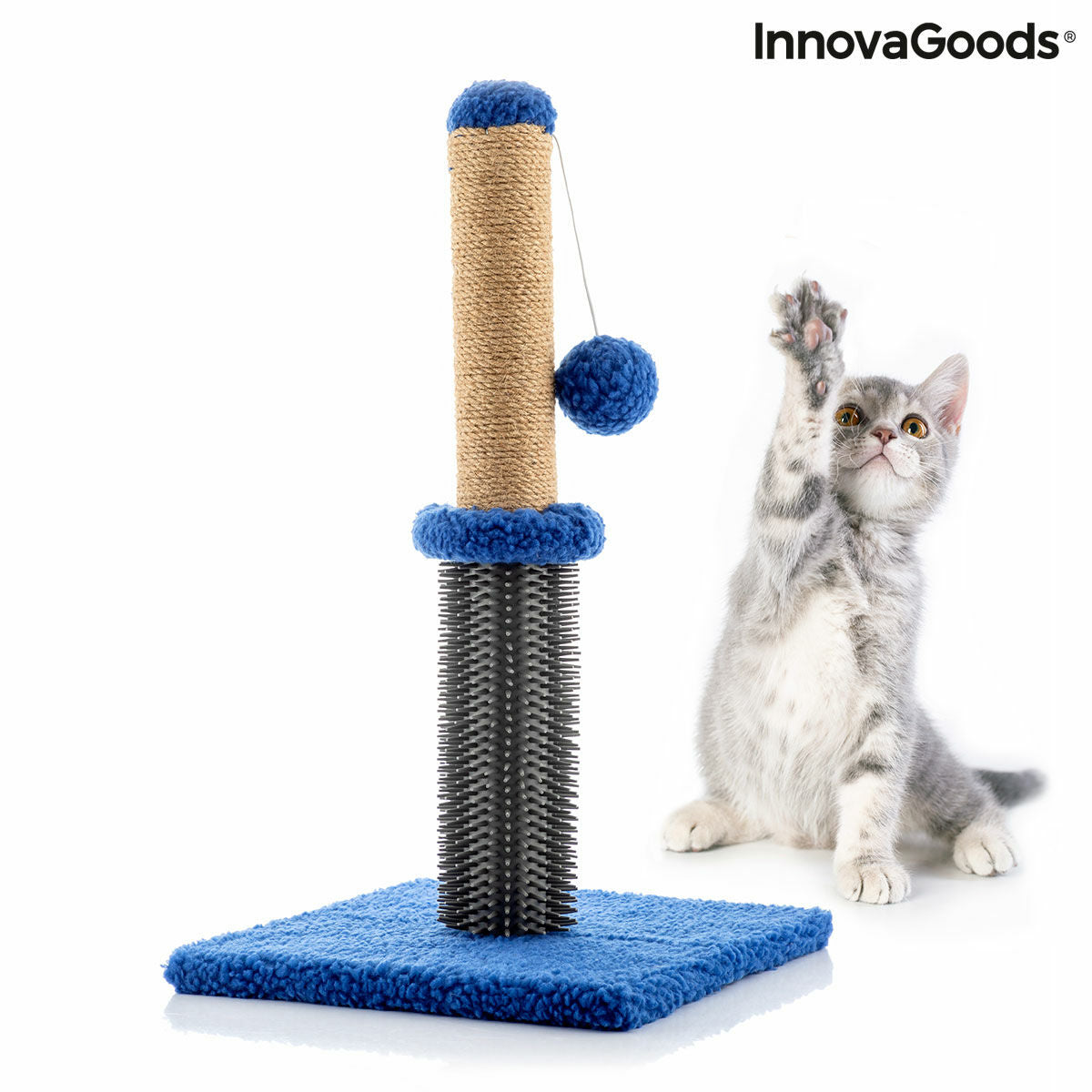 Cat Scratching and Massage
