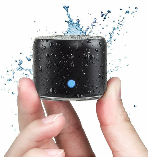 Dragon Bluetooth Speaker