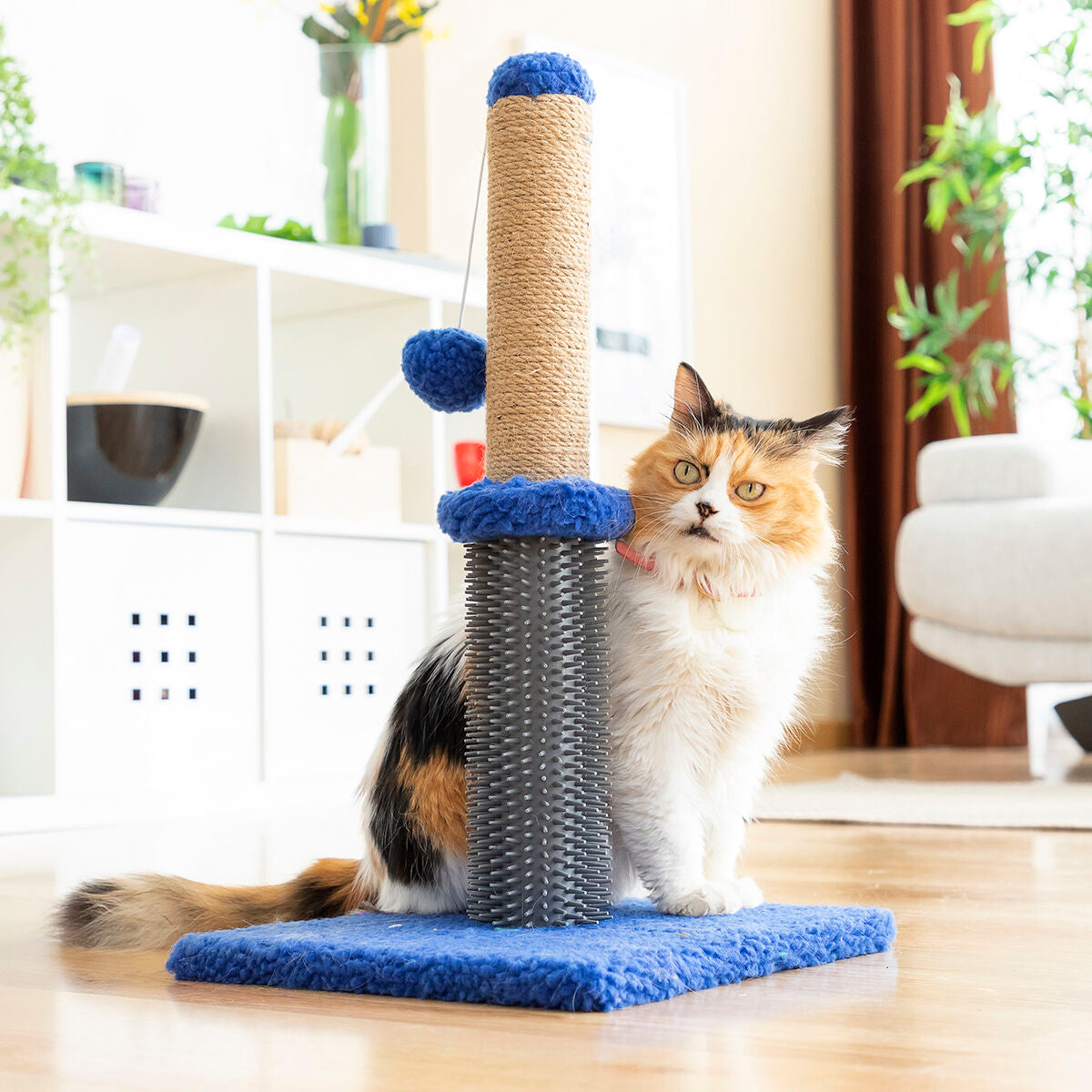 Cat Scratching and Massage