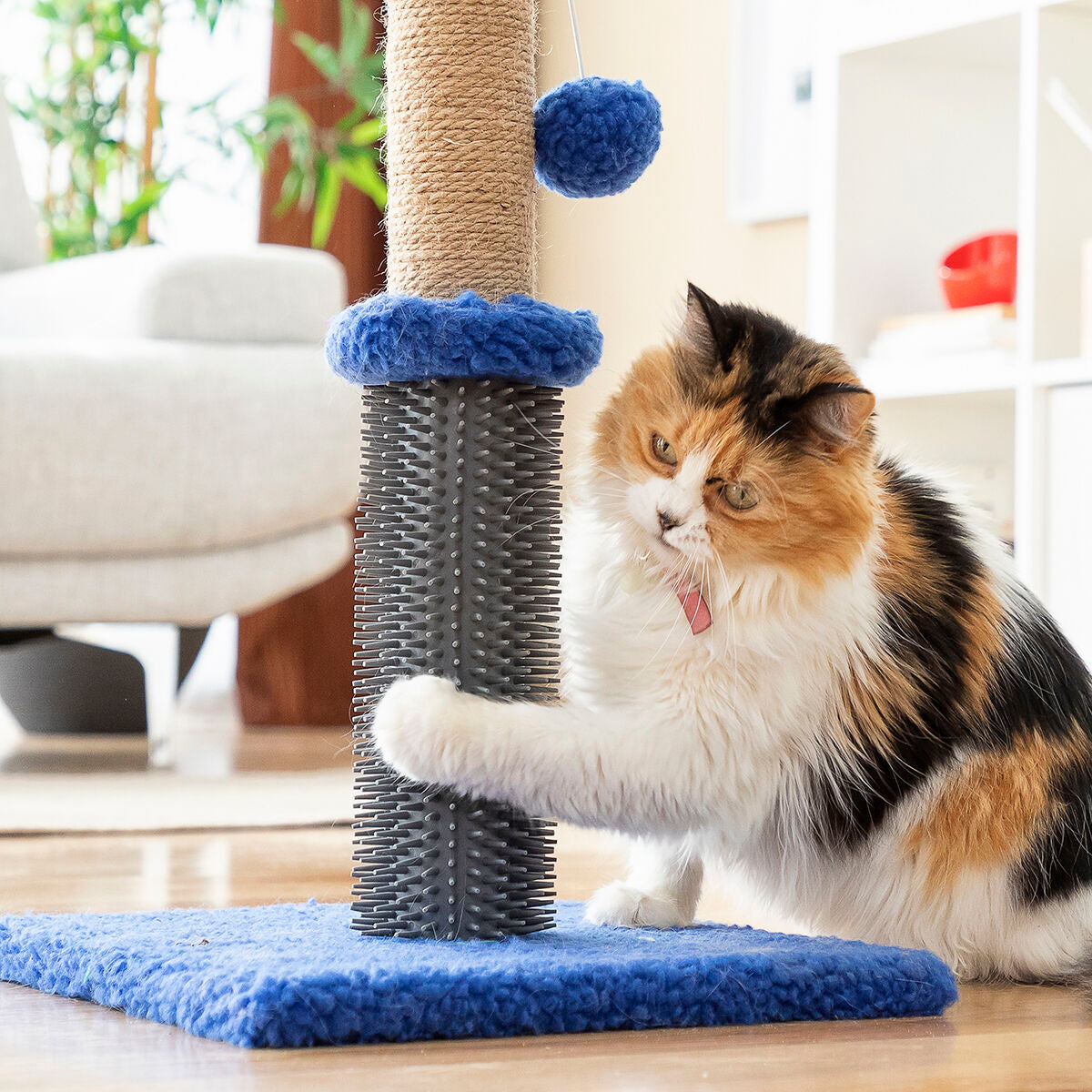 Cat Scratching and Massage