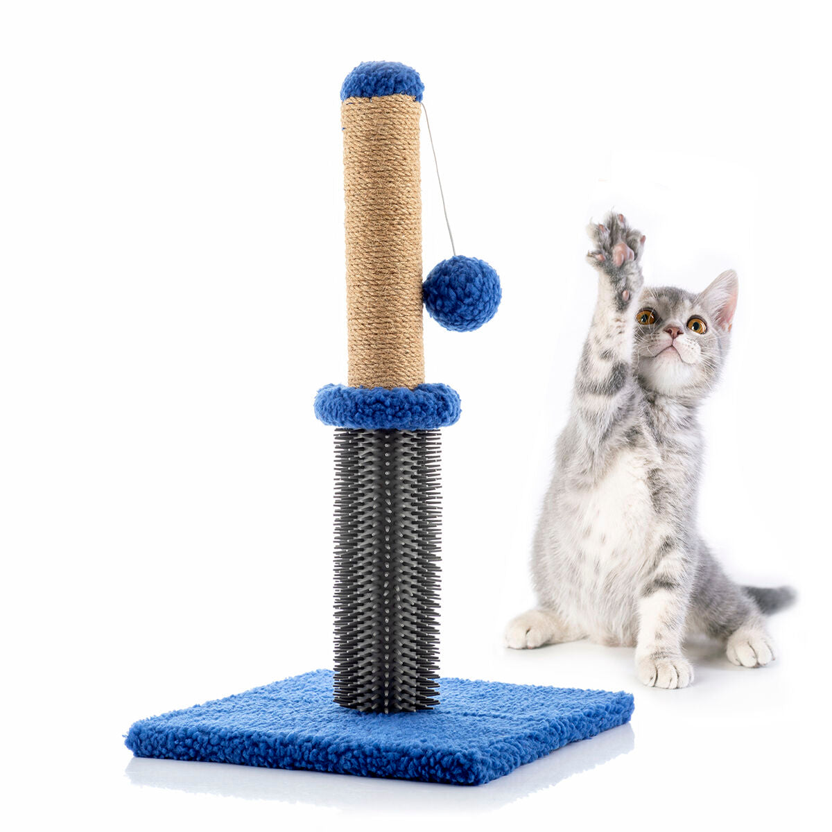 Cat Scratching and Massage